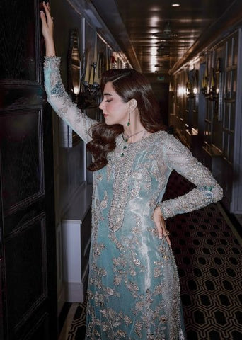 SARA ROHAIL NEW NET PARTY WEAR