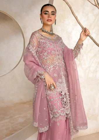 Rang Rasiya Pink Bridal Gharara Collection Organz