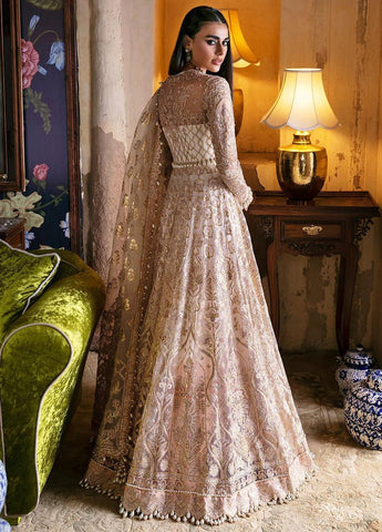 Afrozeh Hayat Unstitched Embroidered Net 3 Piece Suit D-03 SHEEMAH