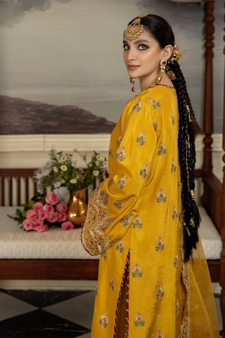 IMROZIA NEW MEHNDI/MAYO ORGANZA PARTY WEAR