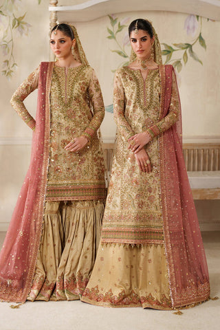 BAROQUE NEW MAYSOORI PARTY WEAR