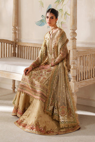 BAROQUE NEW MAYSOORI PARTY WEAR