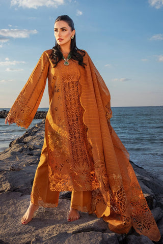RANG RASIYA NEW CHIKANKARI RUST LUXURY LAWN COLLECTION