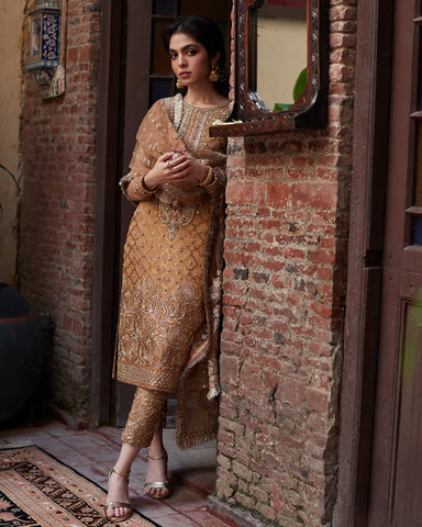 Faiza Saqlain Brown Formal Collection Net