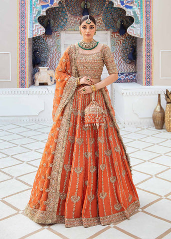 Kanwal Malik - Vistas Of Jaipur KESAR Organza Maxi