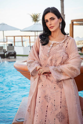 RANG RASIYA NEW CHIKANKARI LUXURY LAWN COLLECTION