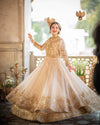 MAHA WAJAHAT NEW GOLD NET BRIDAL MAXI
