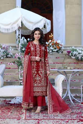 ANEELAS NEW RED HAND MADE VELVET PARTY WEAR
