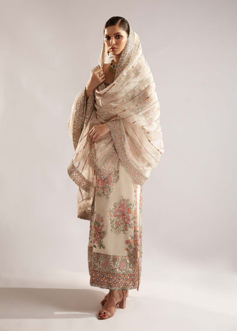 HUSSAIN REHAR NEW ORGANZA WEDDING COLLECTION