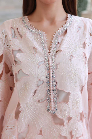 MARIA B NEW CHIKANKARI LUXURY LAWN COLLECTION