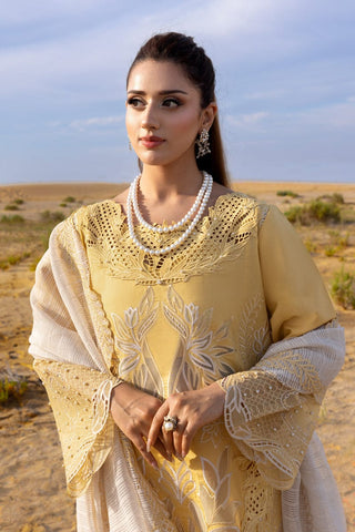 RANG RASIYA NEW CHIKANKARI LUXURY LAWN COLLECTION