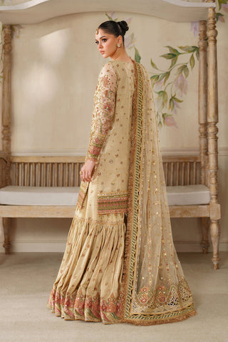 BAROQUE NEW HAND MADE NET PARTY WEAR AZEZ-081