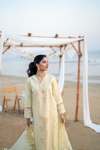 AABYAAN NEW CHIKANKARI LUXURY LAWN COLLECTION