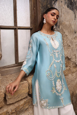 WARDAH SALEEM NEW INDIAN CHIFFON PARTY WEAR EFZ-050