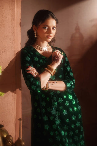 IZNIK NEW BOTTLE GREEN VELVET PARTY WEAR