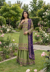 HADIZOUTFIT NEW RAW SILK PARTY WEAR FZZZ-223