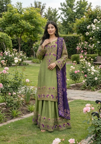 HADIZOUTFIT NEW RAW SILK PARTY WEAR FZZZ-223