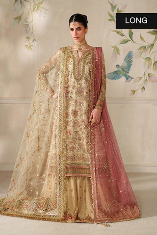 BAROQUE NEW MAYSOORI PARTY WEAR