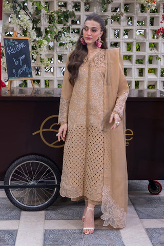 RANG RASIYA NEW CHIKANKARI LUXURY LAWN COLLECTION