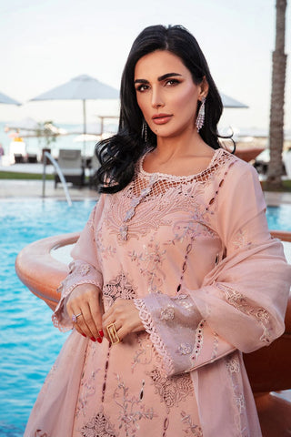 RANG RASIYA NEW CHIKANKARI LUXURY LAWN COLLECTION