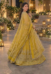 ANEELAS NEW MAYO/MEHENDI BRIDAL WEAR IEZZ-195