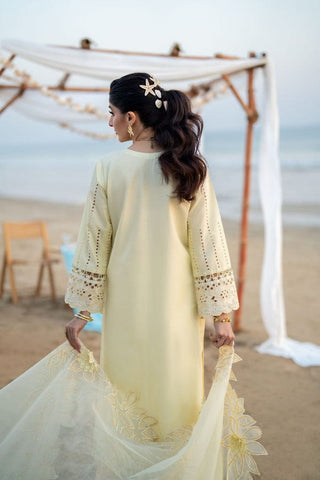 AABYAAN NEW CHIKANKARI LUXURY LAWN COLLECTION