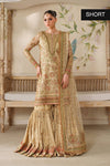 BAROQUE NEW HAND MADE NET PARTY WEAR AZEZ-081