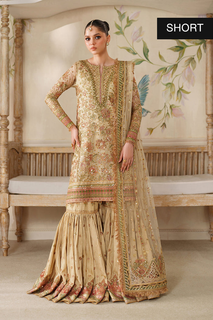 BAROQUE NEW HAND MADE NET PARTY WEAR AZEZ-081