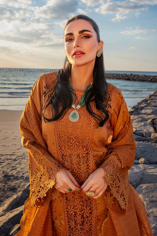 RANG RASIYA NEW CHIKANKARI RUST LUXURY LAWN COLLECTION