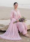 QALAMKAR NEW CHIKANKARI LUXURY LAWN COLLECTION