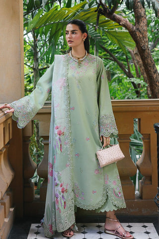 QALAMKAR NEW CHIKANKARI LUXURY LAWN COLLECTION