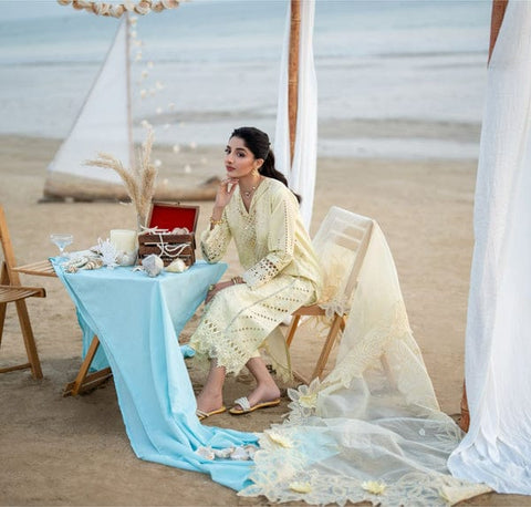 AABYAAN NEW CHIKANKARI LUXURY LAWN COLLECTION