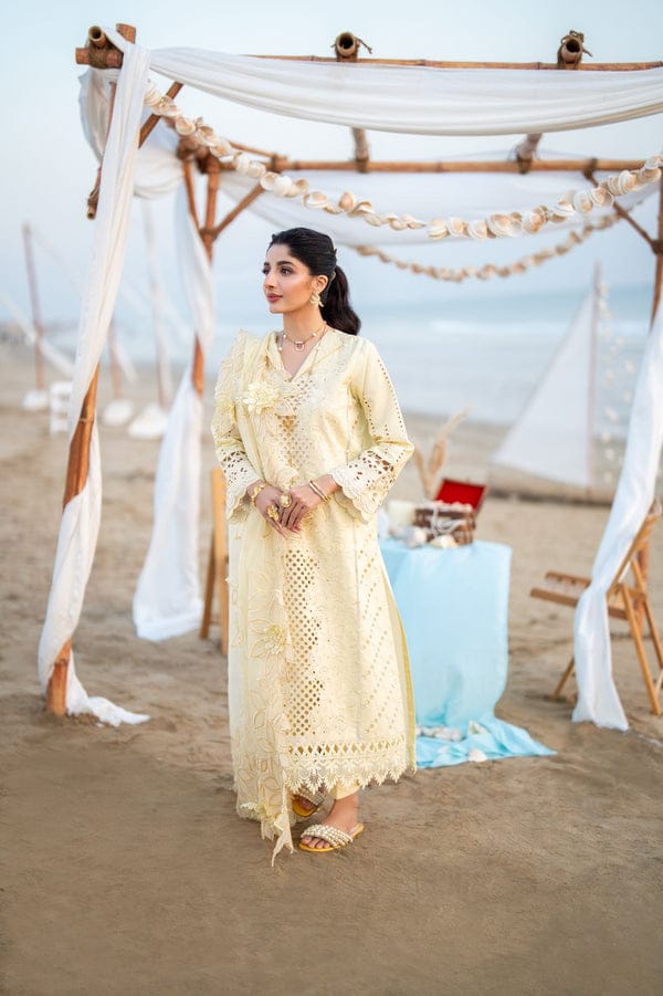 AABYAAN NEW CHIKANKARI LUXURY LAWN COLLECTION