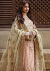 IMROZIA NEW CHIFFON WEDDING COLLECTION