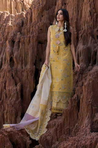 RANG RASIYA PREMIUM CHIKANKARI LUXURY LAWN COLLECTION