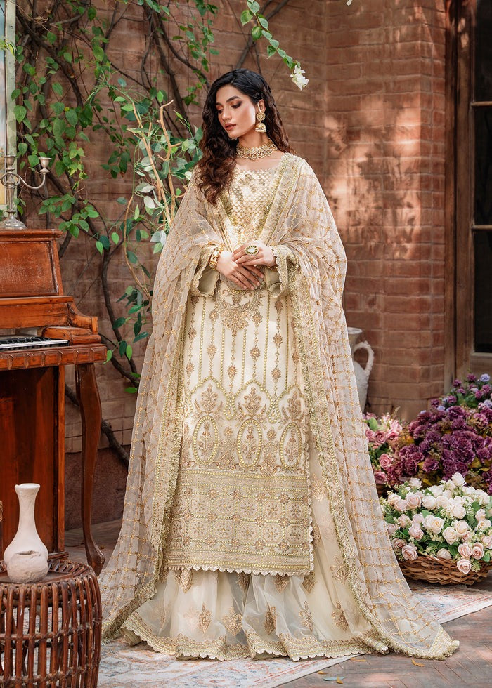 AKBER ASLAM NEW BRIDAL NET COLLCTION