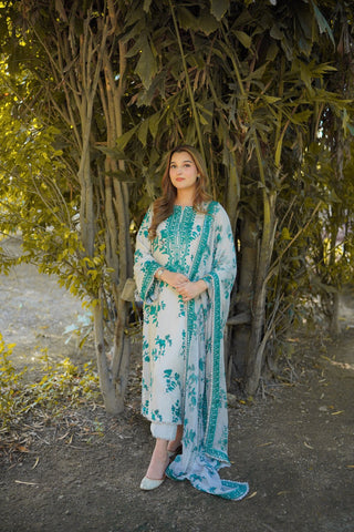 ANEELAS NEW SILK PARTY WEAR