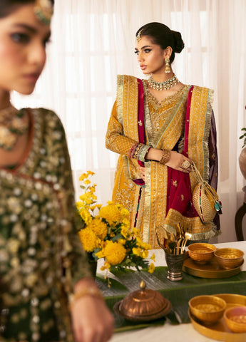 GULAL NEW EXCLUSIVE ORGANZA COLLECTION