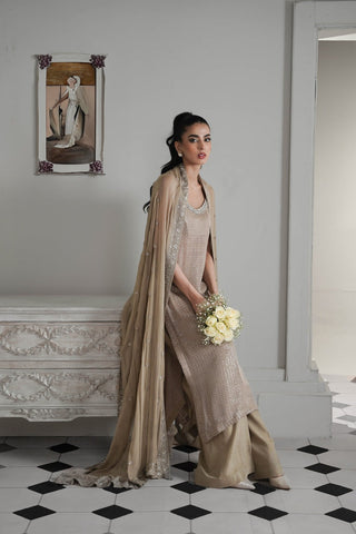 ZAIB NEW CHIFFON FORMAL WEAR