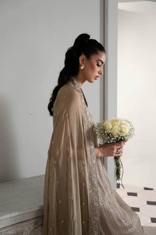ZAIB NEW CHIFFON FORMAL WEAR