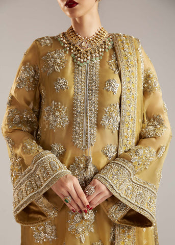 HUSSAIN REHAR ZESTY EXCLUSIVE WEAR