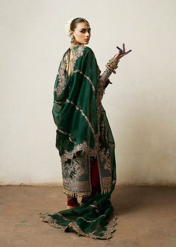 HUSSAIN REHAR NEW EXCLUSIVE NET DRESS
