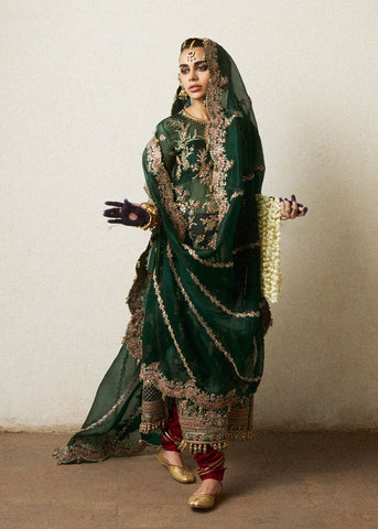 HUSSAIN REHAR NEW EXCLUSIVE NET DRESS