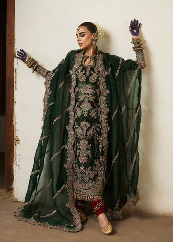 HUSSAIN REHAR NEW EXCLUSIVE NET DRESS
