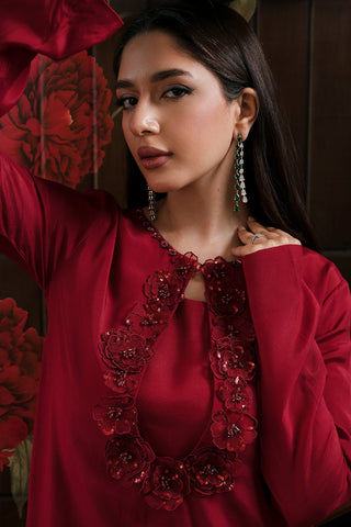 LULUSAR NEW RED RAWSILK DRESS