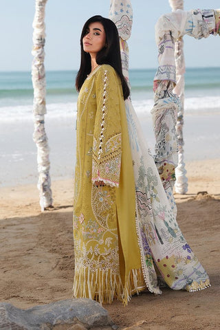 QALAMKAR NEW CHIKANKARI LUXURY LAWN COLLECTION