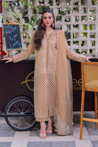 RANG RASIYA NEW CHIKANKARI LUXURY LAWN COLLECTION