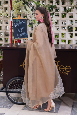 RANG RASIYA NEW CHIKANKARI LUXURY LAWN COLLECTION