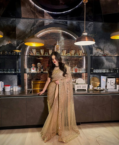 ANEELAS NEW BRIDAL NET SAREE