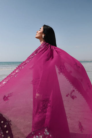 QALAMKAR NEW CHIKANKARI LUXURY LAWN COLLECTION